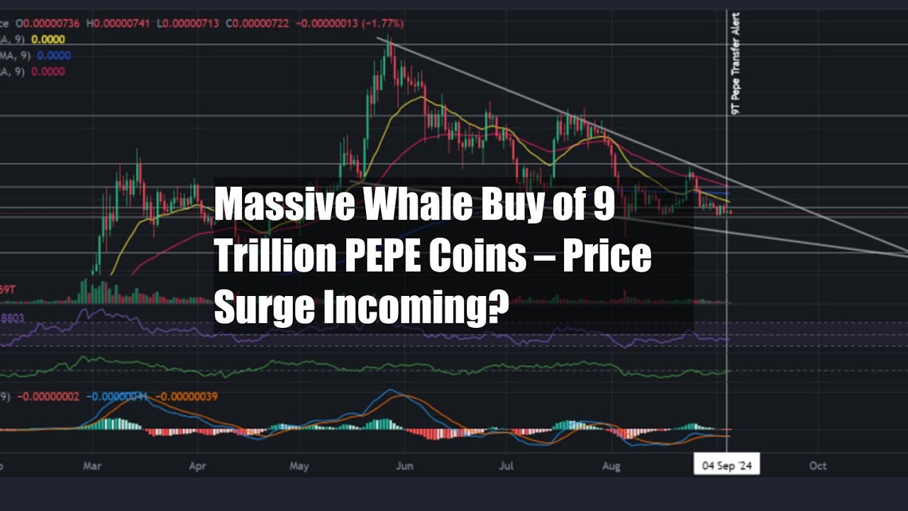Massive Whale Buy of 9 Trillion PEPE Coins – Price Surge - YouTube