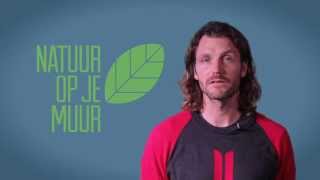 Zinweb-Academy The Tipping Point