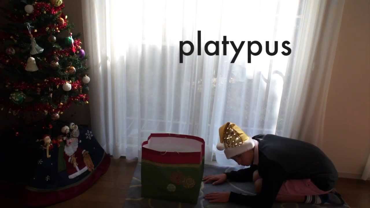 how animals open their christmas presents | epickei