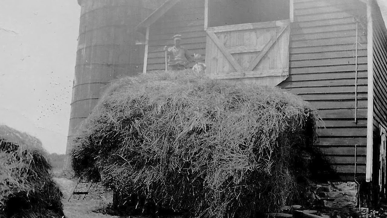 Sanders Farm Memories