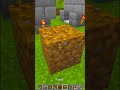 CHEST SEMPRE ORDINATE SU MINECRAFT!