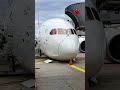 Germany: Several injured as passenger plane’s front landing gear collapses