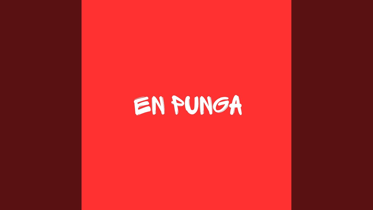 Watch en punga on YouTube Watch en punga on YouTube