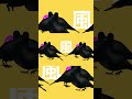 強風オールバック #vrchat #shorts #強風オールバック
