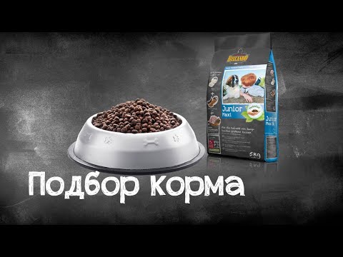 Вводная по кормлению собак и кошек. Основы подбора рационов.