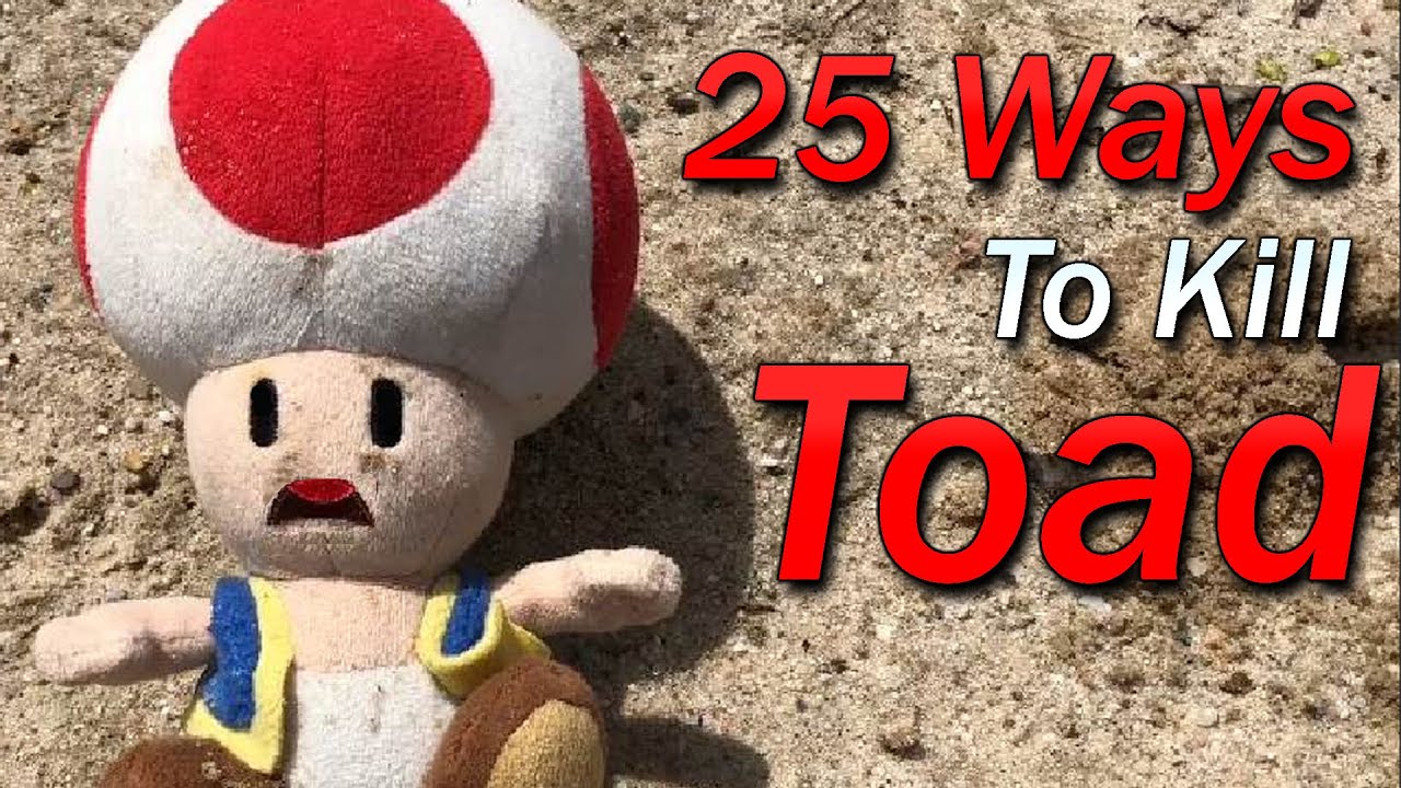25 Ways to Kill Toad