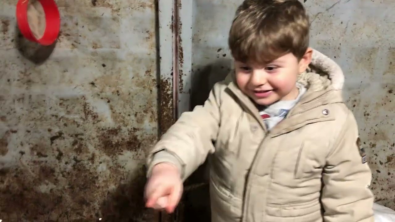 Sıfırdan hayvancılığa başladım kısa zamanda büyük başarı 