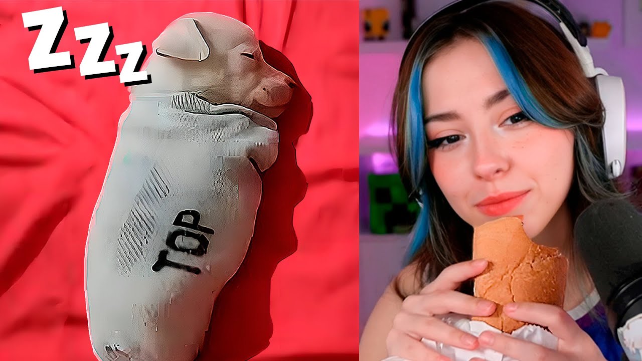 MEMES para VER COMIENDO 4 🍞