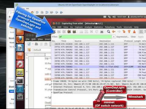 My test system for OpenFlow - OpenDaylight/mininet/Wireshark