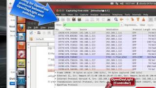 Famous My test system for OpenFlow - OpenDaylight/mininet/Wireshark Net Worth