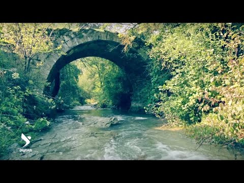 Video: Ku është lumi Lethe?