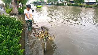 Heavy Duty Drain Rescue Deep Cleaning with Debris Extraction and Street Unclogging!