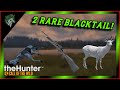Albino and Piebald Blacktail Deer WITH THE AIR RIFLE! TheHunter Call Of The Wild