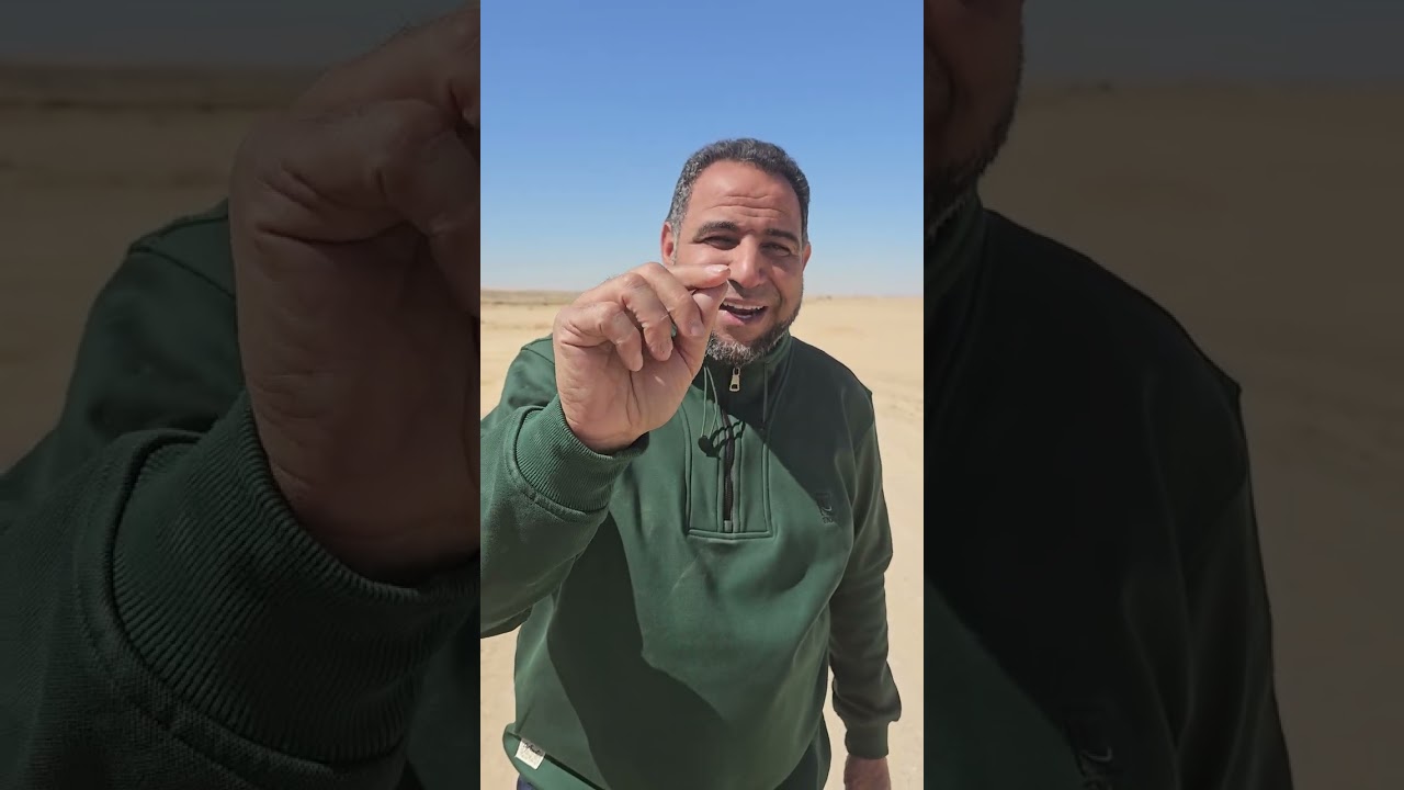 استلام فوري لوانت جاهز كاش وازرع وابني علي راس أرضك قبل متروح بشركه الفلاح بالفرافره 01008791285