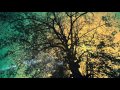 CONCEPT IDENT COPYRIGHTS ALNAS TV