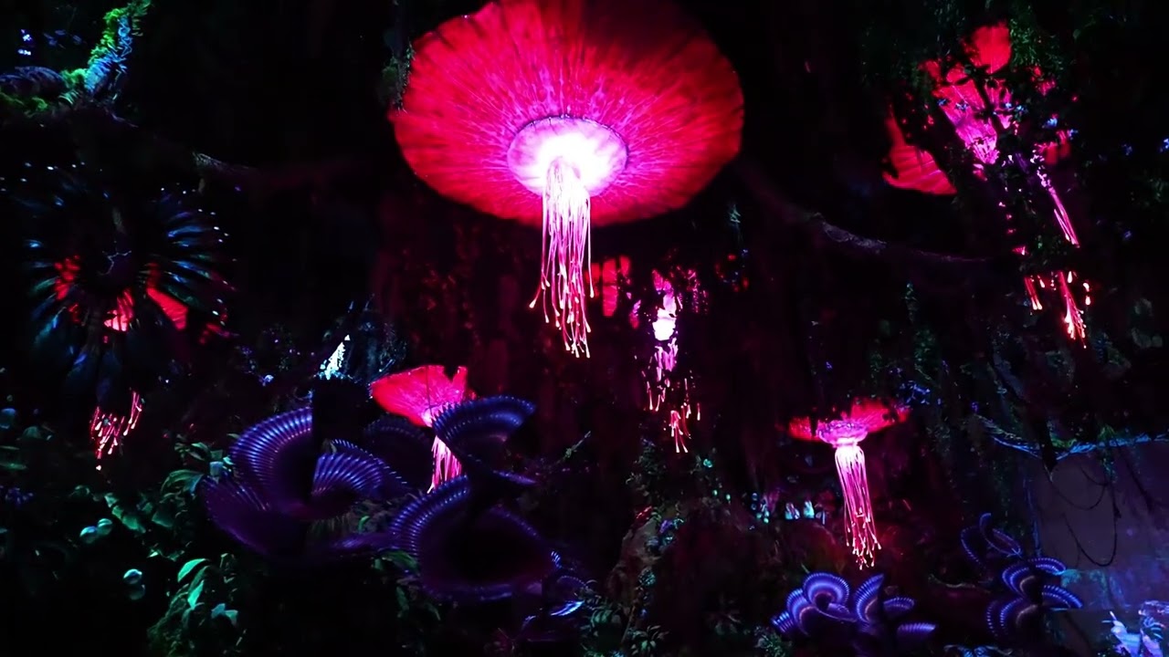 Animal Kingdom River Journey 2025