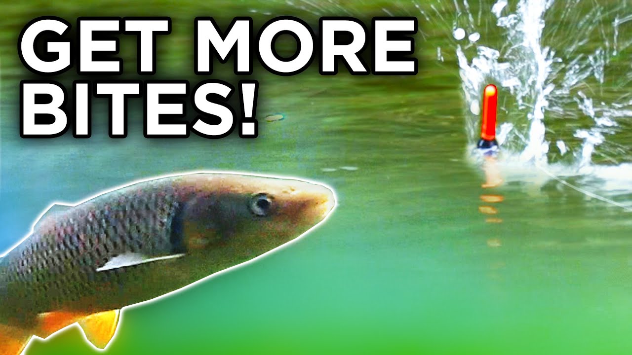 How to Choose Fishing Floats & Use Them to Catch More Fish