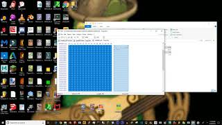 File Select Castle Hacking for SM64DS