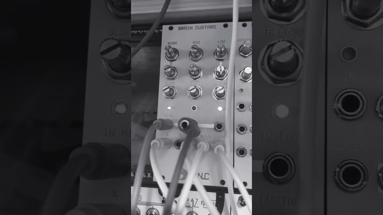 Nonlinearcircuits NLC Brain Custard Percussion