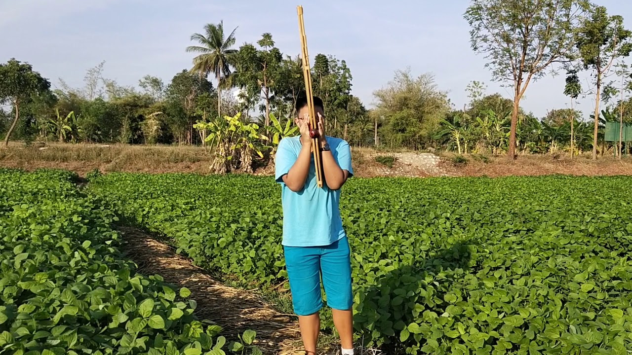 เดี่ยวเเคนลายใหญ่ออกเต้ย โดย หมอเเคนทิกเกอร์ เมืองขอนเเก่น