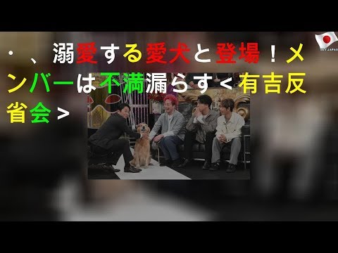 Sonar Pocket・matty、溺愛する愛犬と登場！メンバーは不満漏らす＜有吉反省会＞