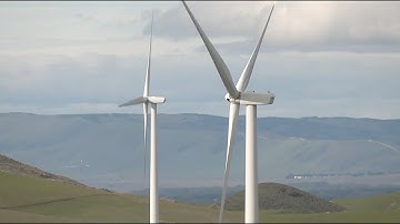 Renewables surpass coal for global electricity demand