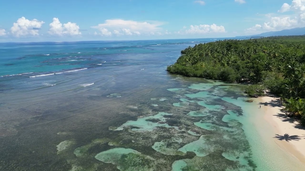 Земной 2025 - 2026