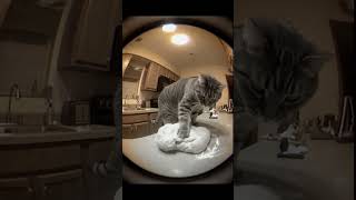 I checked my camera and saw THIS