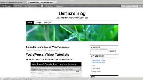 WordPress 3 Tutorial 10_ Introduction to Themes 000WebHost FREE web hosting