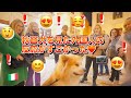What happens when we take a walk with Akita dog "SANGO" in Italy♪