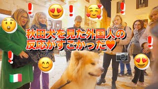 What happens when we take a walk with Akita dog 'SANGO' in Italy♪