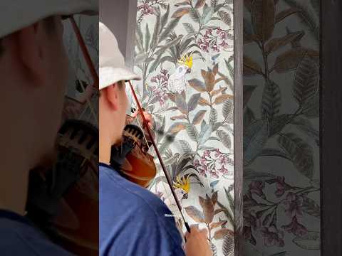 🔐 So tapeziert ein Profi mit 11 Jahren Erfahrung ✅ #lifehack #tapezieren#wallpaper #maler #painter