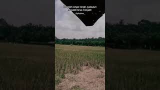 Download Lagu VIDEO KATA KATA TERBARU || DJ TUMANEDANG MP3 Download Lagu VIDEO KATA KATA TERBARU || DJ TUMANEDANG MP3