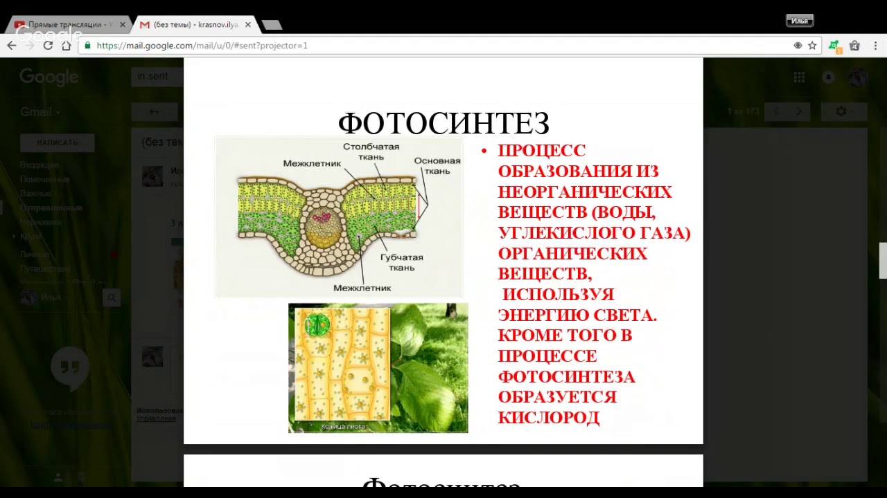 Видеоуроки биологии 11 класс. Видеоурок по биологии 6 класс. Почвенное питание 6 класс биология. Минеральное питание растений удобрения 6 класс биология. Тест по биологии 6 класс минеральное питание растений и удобрения.