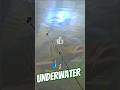 🎣Underwater #fishing