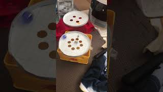 【参加型】アヒルを救出させろ