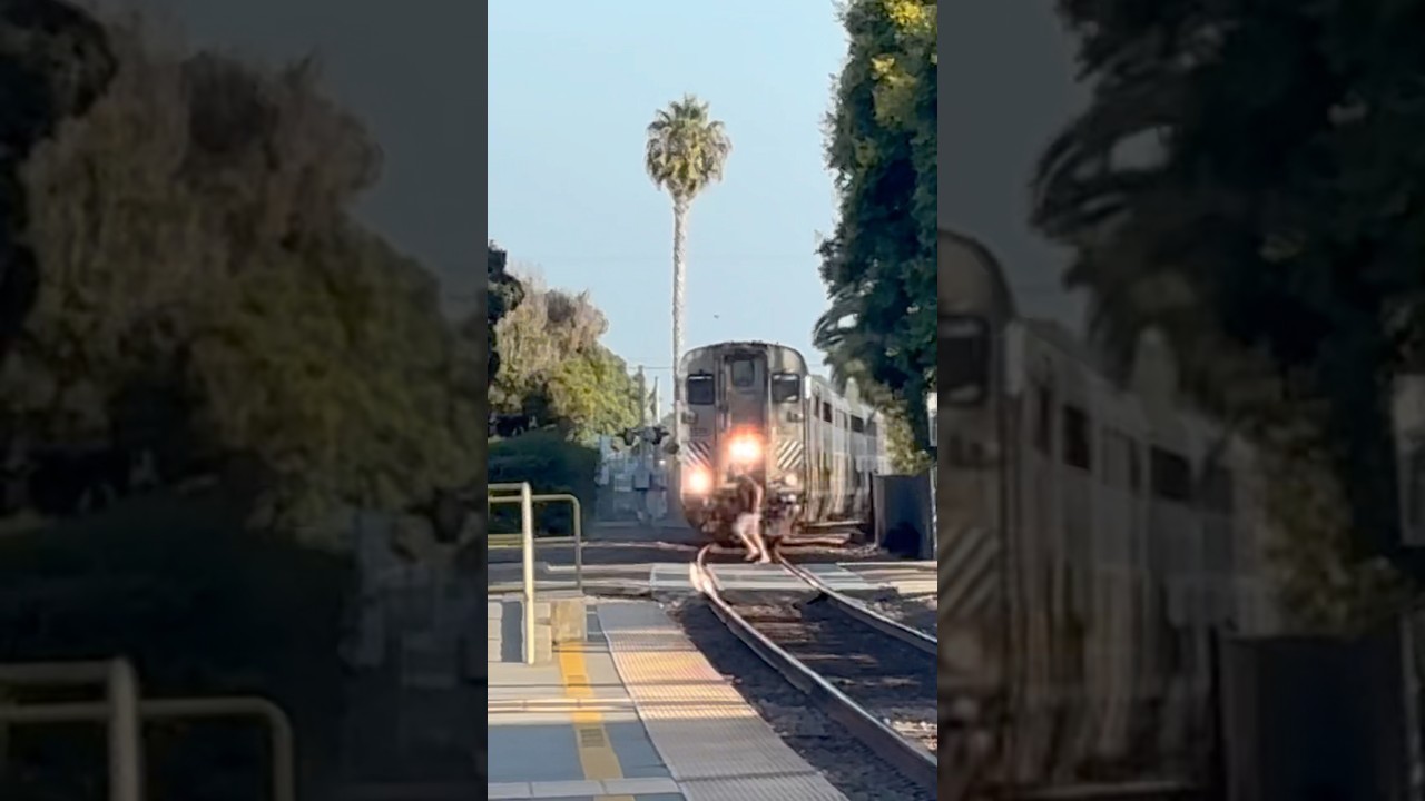 *MUST SEE* Stupid Pedestrian almost gets hits by 587 with 6905 at Carlsbad Village