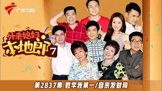 第7季 2837集 数学我第一/自来发财狗【外来媳妇本地郎】#粤语