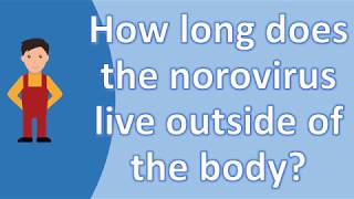 How long does the norovirus live ...