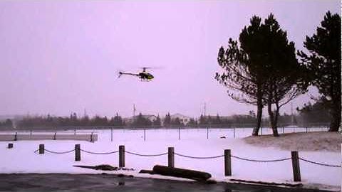 Dynam E-Razor 450 Carbon Fiber