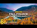 Incredible Fall Foliage of New England from Above in 8K - Autumn Ambient Drone Film (2021)