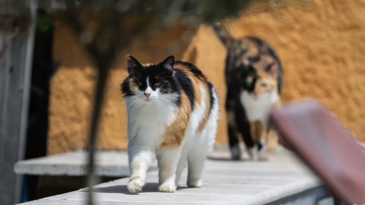 La Saison 2026 est ouverte