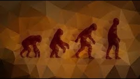 040720 | Class V | Environmental Science [EVS] -2 - Lesson 5: Evolution of the Mankind --Part 1