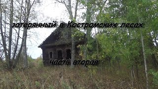 затерянный в Костромских лесах 2