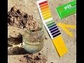 Как определить кислотность почвы