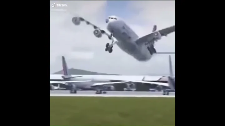 Plane Dancing With A Bird