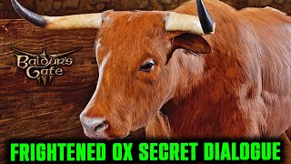 Frightened OX Secret Dialogue & Scene in Baldur's Gate 3