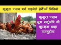      krishi sandesh about poultry farming  krishi sandesh