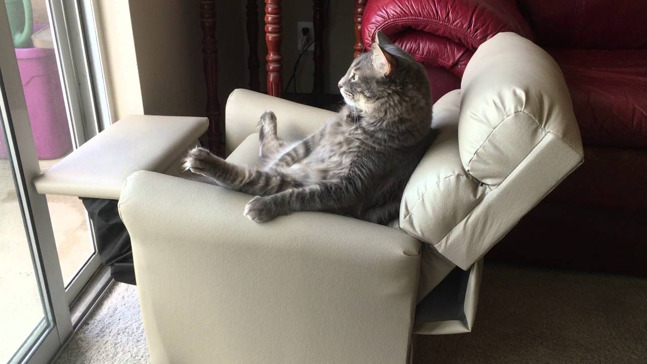 Cat relaxing in his recliner - YouTube