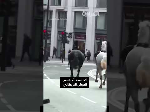 أحدها ملطخ بدماء خيول عسكرية تعدو طليقة بدون فرسان في وسط لندن